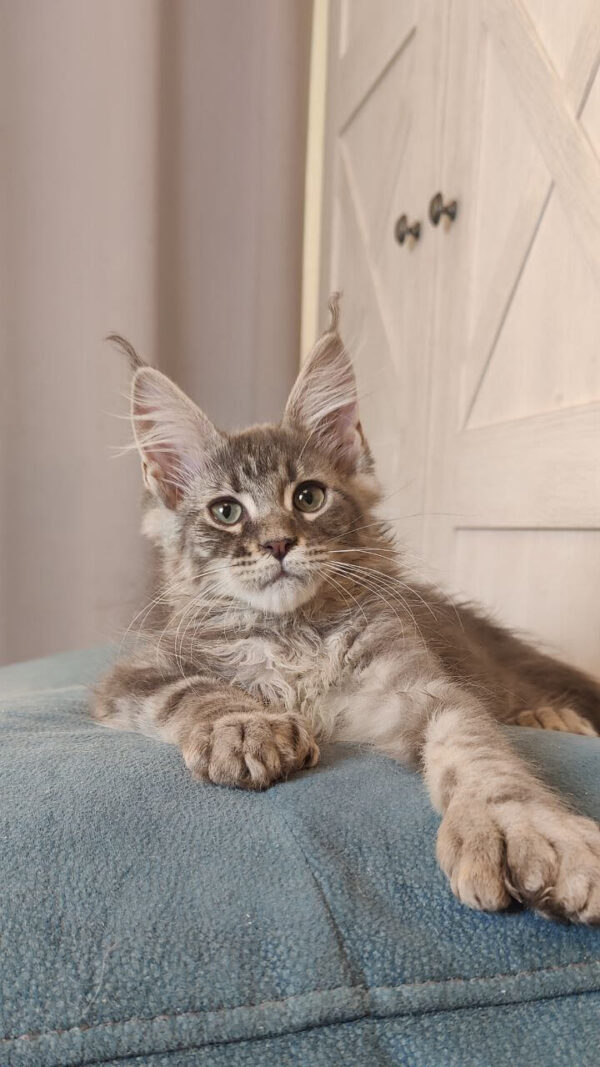 Kendrick - male - Image 3