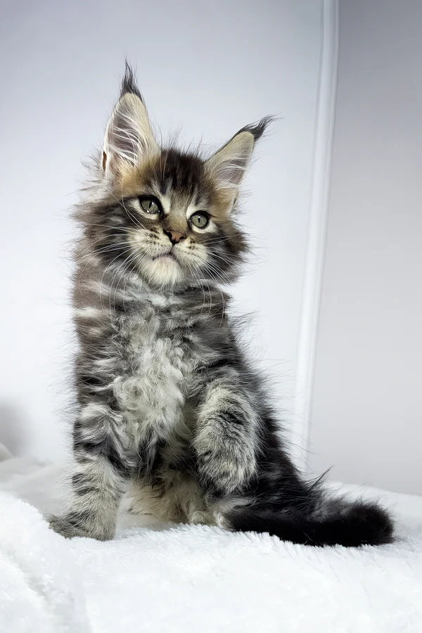 3_Witcher_1812002_600x