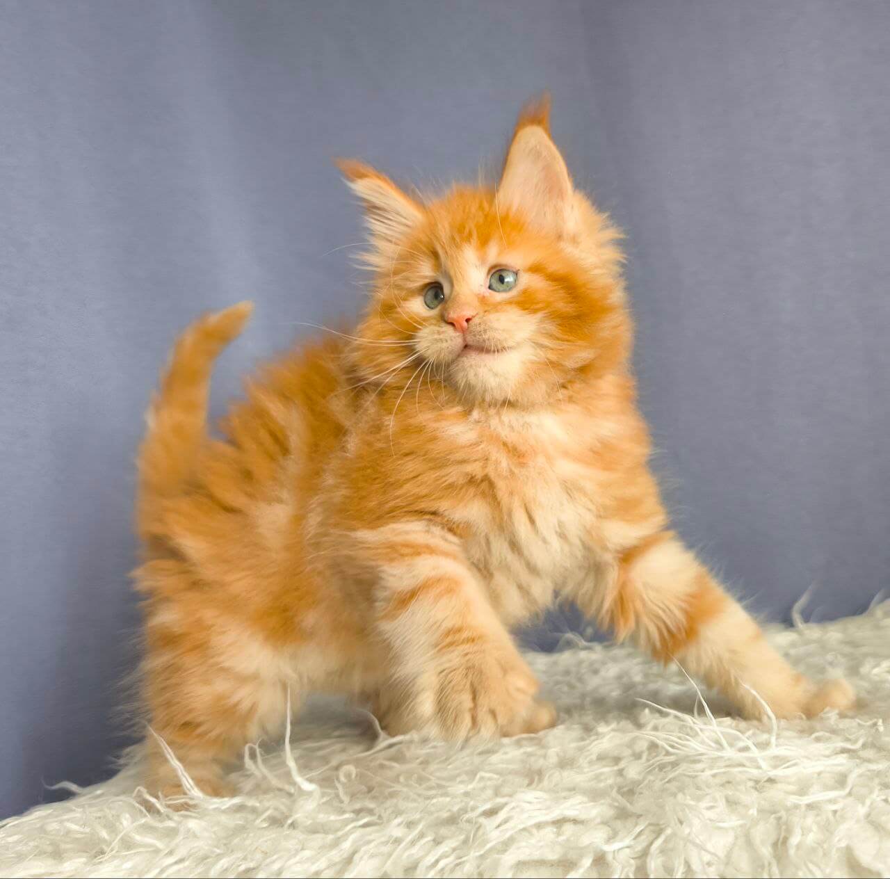 photo_2025-11-07_17-10-47